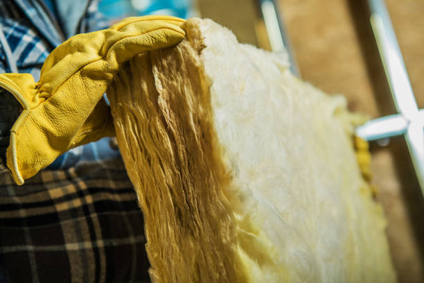 Best Cellulose Insulation in Stanhope, NJ